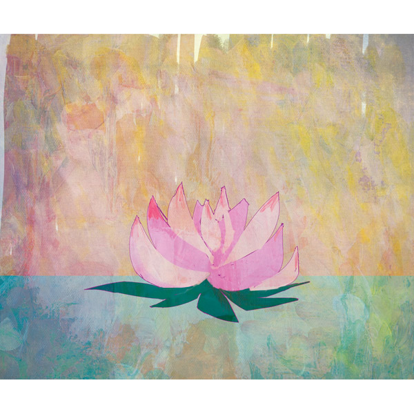 Lotus in Passion