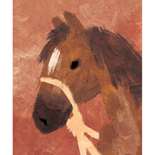 Horse Portrait on Orange