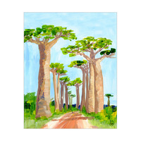 Avenue Of The Baobabs Alpha