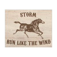 Run Like the Wind