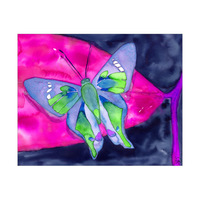 Pink Butterfly Alpha