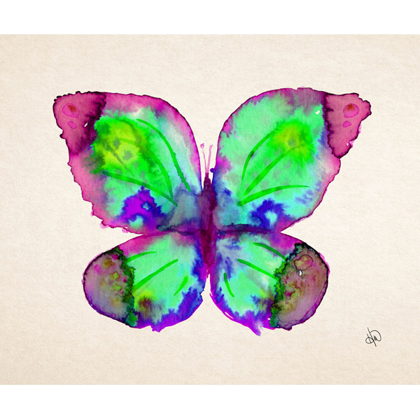 Rainbow Butterfly Alpha