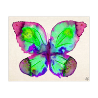 Rainbow Butterfly Alpha