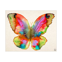 Prism Butterfly Alpha