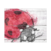 Ladybug Splash Alpha