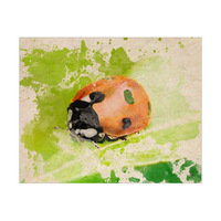 Ladybug in Green Alpha