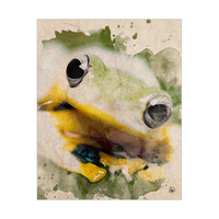 Angry Frog Alpha