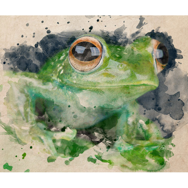 Happy Frog Alpha