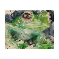 Happy Frog Alpha