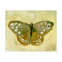 Speckled Wood Butterfly Alpha