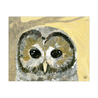 Spotted Owl Alpha