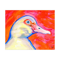 Muscovy Duck Alpha