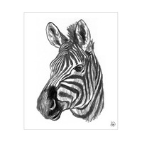 Zebra Alpha