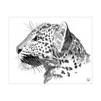 A Leopard Alpha