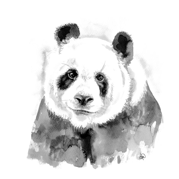 Panda Alpha