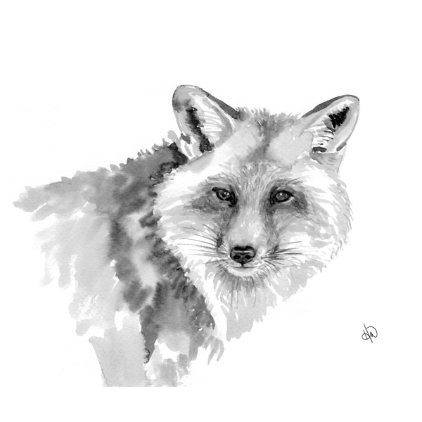 Fox Alpha