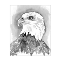 An Eagle Alpha