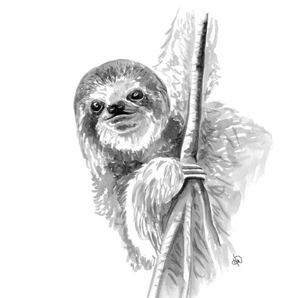 A Sloth Alpha