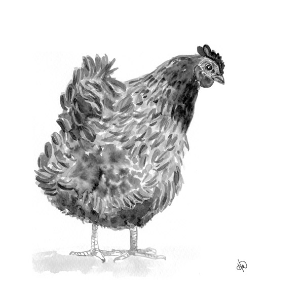 A Chicken Alpha