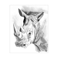 Rhinoceros Alpha