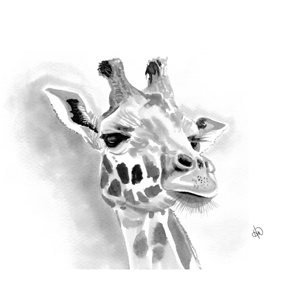 A Giraffe Alpha