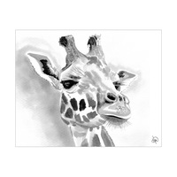 A Giraffe Alpha