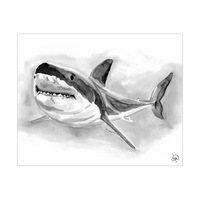Shark Alpha
