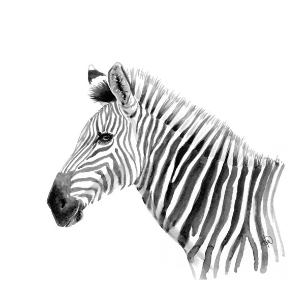 A Zebra Alpha