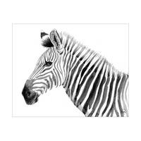 A Zebra Alpha