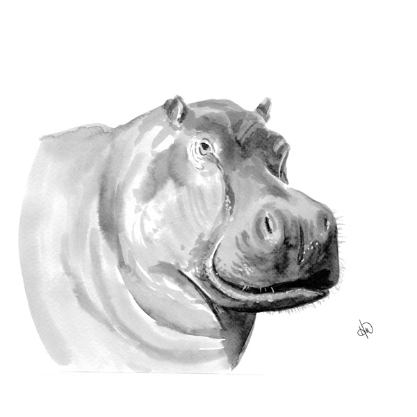 A Hippopotamus Alpha