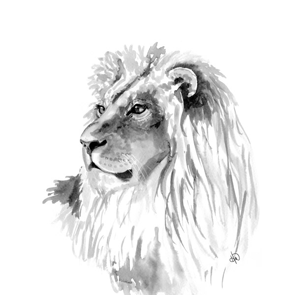 Lion Alpha
