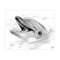 Dolphin Alpha