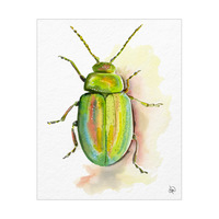 Metallic Green Beetle