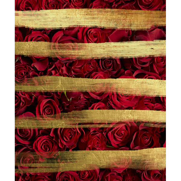 Red Roses and Gold Stripes