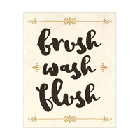Brush Wash Flush