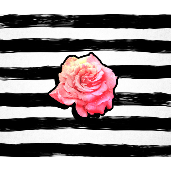 Ink Stripes Rose