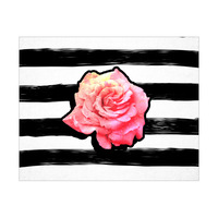 Ink Stripes Rose