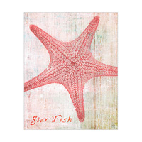 Star Fish - Pink
