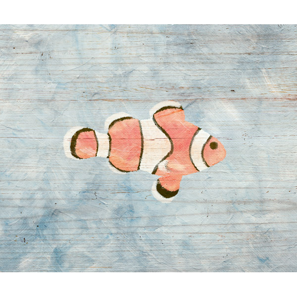 Clownfish on Wood