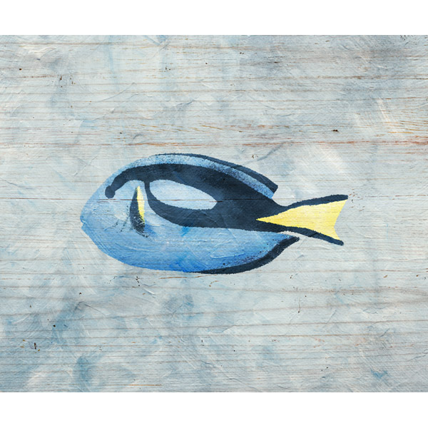 Blue Tang on Wood
