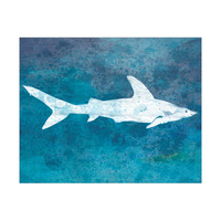 Cerulean Shark