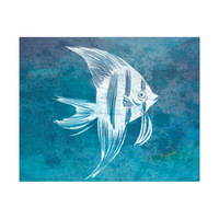 Cerulean Angelfish