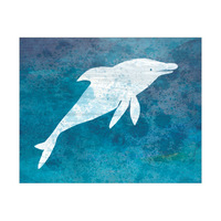 Cerulean Dolphin