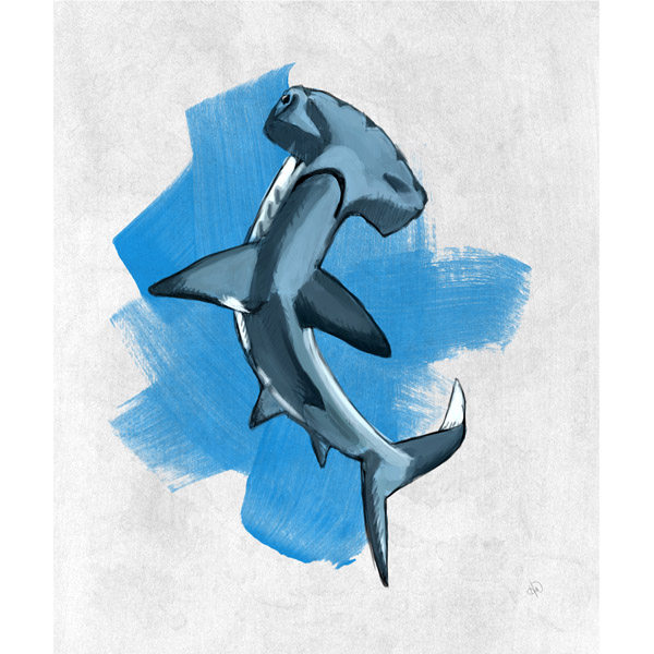 Hammerhead Shark on Blue
