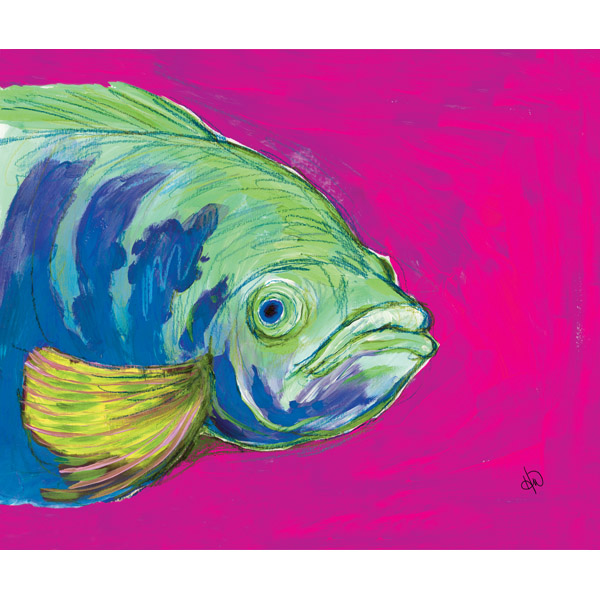 Oscar The Grumpy Fish Alpha