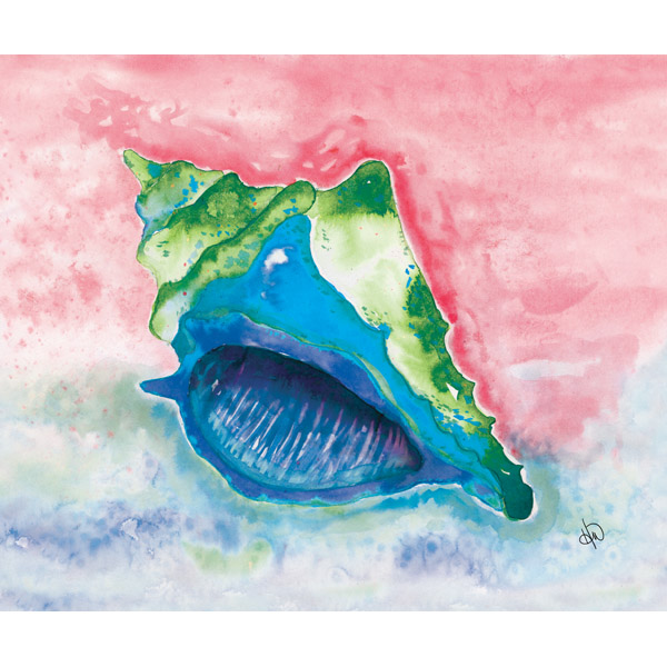 Watercolor Sea Shell Alpha