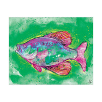 Bluegill Fish Alpha