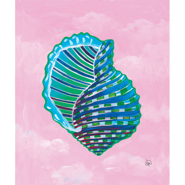 Colorful Seashell Alpha