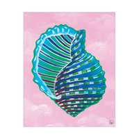 Colorful Seashell Alpha