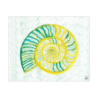 Spiral Watercolor Shell Alpha
